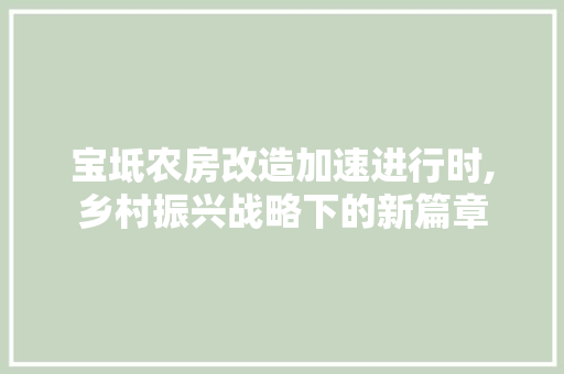 宝坻农房改造加速进行时,乡村振兴战略下的新篇章
