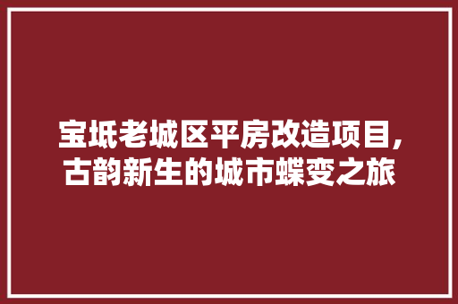 宝坻老城区平房改造项目,古韵新生的城市蝶变之旅 地面装修