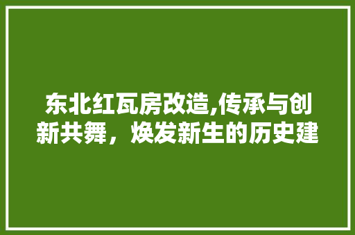 东北红瓦房改造,传承与创新共舞，焕发新生的历史建筑