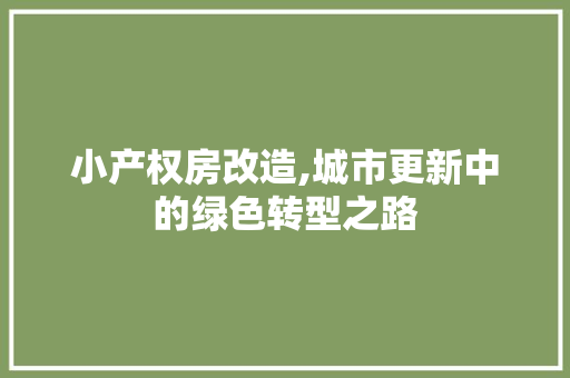 小产权房改造,城市更新中的绿色转型之路