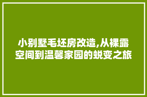 小别墅毛坯房改造,从裸露空间到温馨家园的蜕变之旅