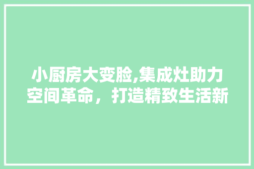 小厨房大变脸,集成灶助力空间革命,打造精致生活新风尚 装修材料 小厨房大变脸,集成灶助力空间革命,打造精致生活新风尚 装修材料