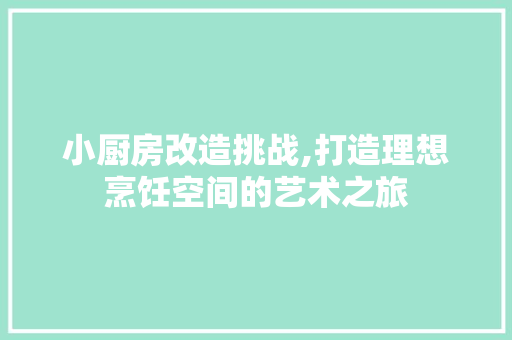 小厨房改造挑战,打造理想烹饪空间的艺术之旅