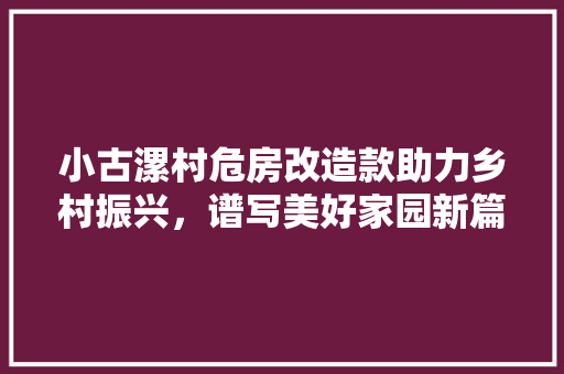 小古漯村危房改造款助力乡村振兴，谱写美好家园新篇章