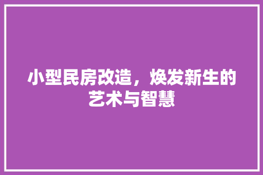 小型民房改造，焕发新生的艺术与智慧