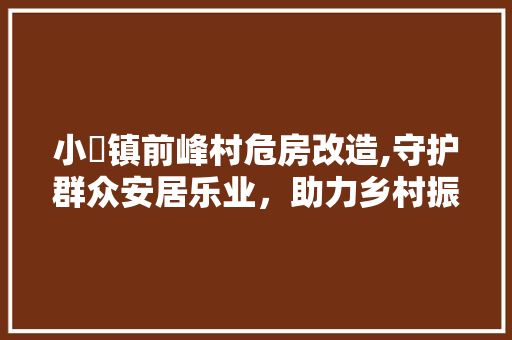 小岞镇前峰村危房改造,守护群众安居乐业，助力乡村振兴 地面装修