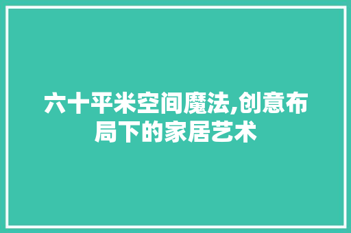 六十平米空间魔法,创意布局下的家居艺术 装修材料