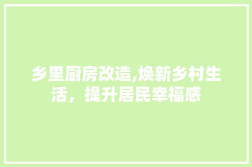 乡里厨房改造,焕新乡村生活，提升居民幸福感 建筑设计