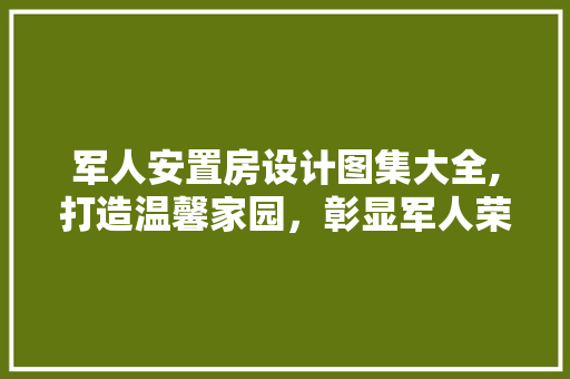 军人安置房设计图集大全,打造温馨家园，彰显军人荣耀 地面装修