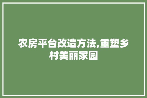 农房平台改造方法,重塑乡村美丽家园