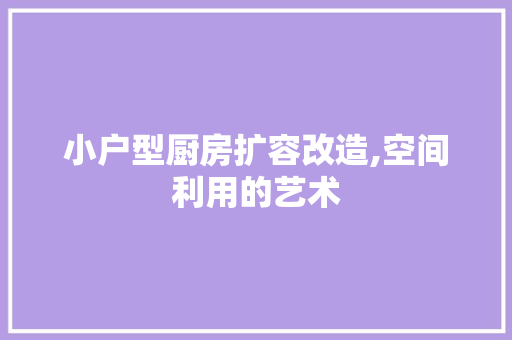 小户型厨房扩容改造,空间利用的艺术 装修材料