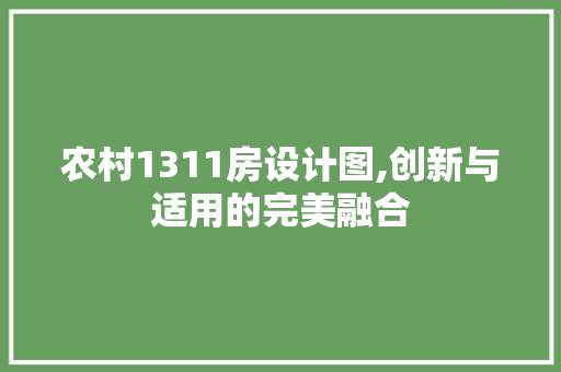 农村1311房设计图,创新与适用的完美融合 地面装修