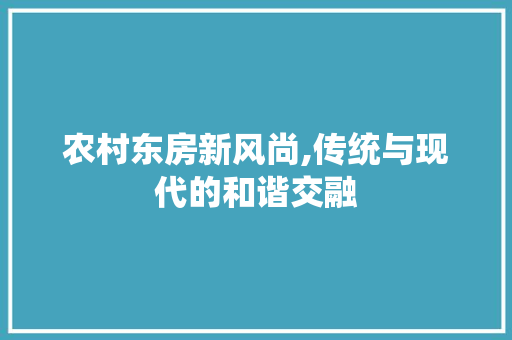 农村东房新风尚,传统与现代的和谐交融 景观设计