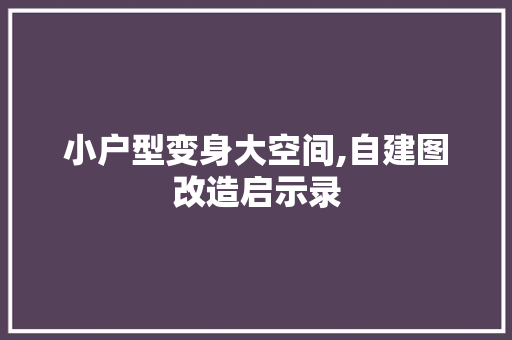 小户型变身大空间,自建图改造启示录 景观设计