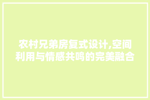 农村兄弟房复式设计,空间利用与情感共鸣的完美融合