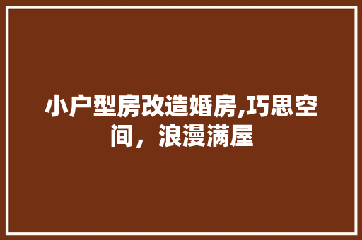 小户型房改造婚房,巧思空间，浪漫满屋