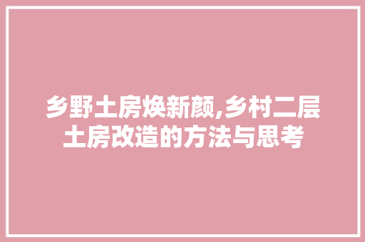 乡野土房焕新颜,乡村二层土房改造的方法与思考 墙面装饰