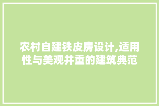 农村自建铁皮房设计,适用性与美观并重的建筑典范