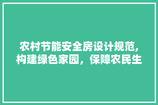 农村节能安全房设计规范,构建绿色家园，保障农民生活品质