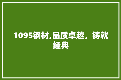 1095钢材,品质卓越，铸就经典