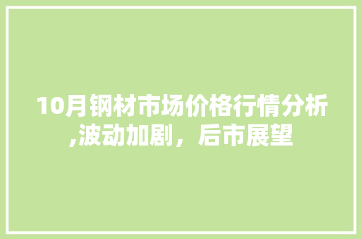 10月钢材市场价格行情分析,波动加剧，后市展望