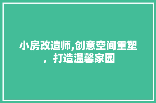 小房改造师,创意空间重塑，打造温馨家园
