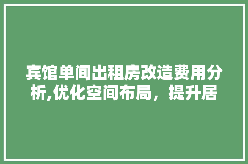 宾馆单间出租房改造费用分析,优化空间布局，提升居住体验