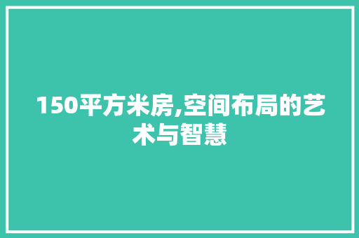150平方米房,空间布局的艺术与智慧 隔断设计