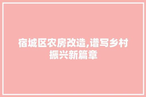 宿城区农房改造,谱写乡村振兴新篇章
