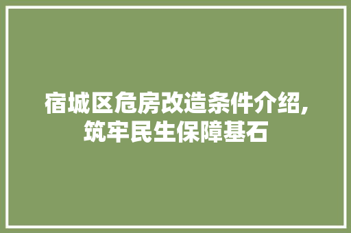 宿城区危房改造条件介绍,筑牢民生保障基石