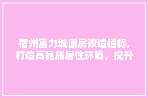 宿州富力城厨房改造招标,打造高品质居住环境，提升业主生活品质