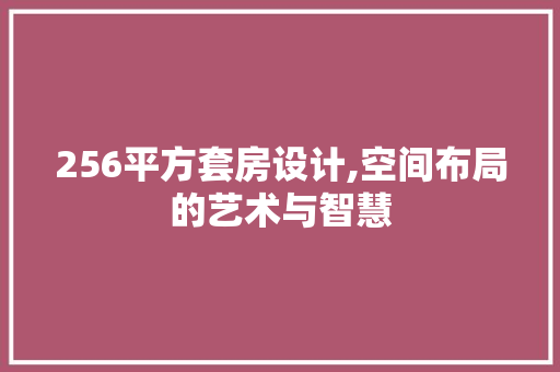 256平方套房设计,空间布局的艺术与智慧 建筑设计