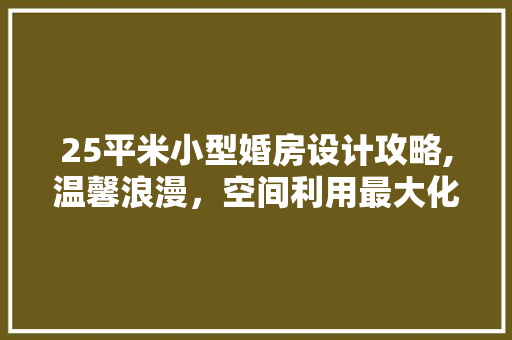 25平米小型婚房设计攻略,温馨浪漫，空间利用最大化 装修攻略