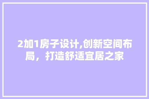 2加1房子设计,创新空间布局，打造舒适宜居之家 装修材料