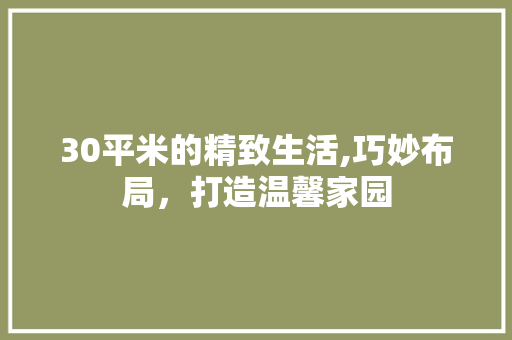 30平米的精致生活,巧妙布局，打造温馨家园 地面装修