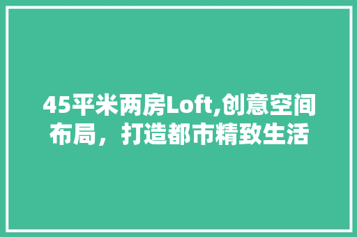 45平米两房Loft,创意空间布局，打造都市精致生活 隔断设计