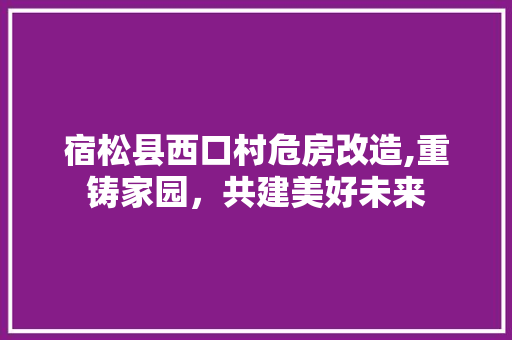 宿松县西口村危房改造,重铸家园，共建美好未来