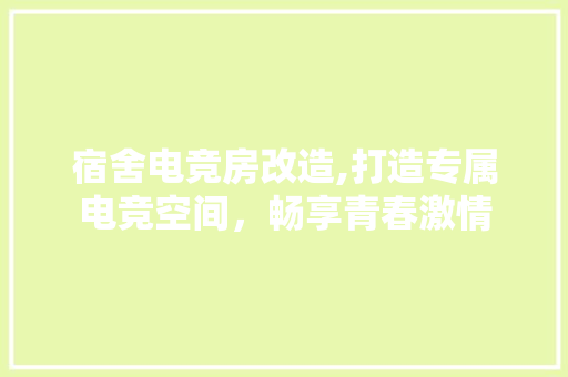 宿舍电竞房改造,打造专属电竞空间，畅享青春激情 庭院装修