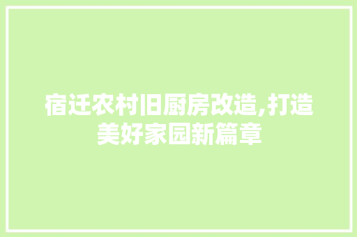 宿迁农村旧厨房改造,打造美好家园新篇章