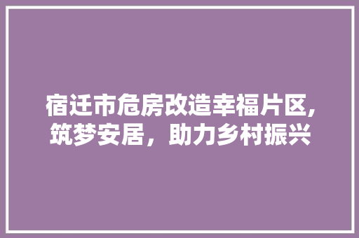 宿迁市危房改造幸福片区,筑梦安居，助力乡村振兴