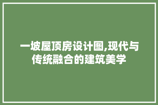 一坡屋顶房设计图,现代与传统融合的建筑美学