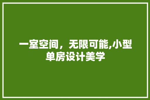 一室空间，无限可能,小型单房设计美学 地面装修