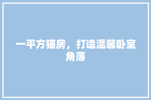 一平方猫房，打造温馨卧室角落