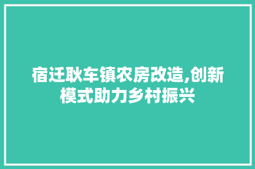 宿迁耿车镇农房改造,创新模式助力乡村振兴 庭院装修