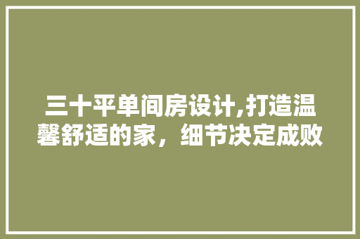 三十平单间房设计,打造温馨舒适的家，细节决定成败