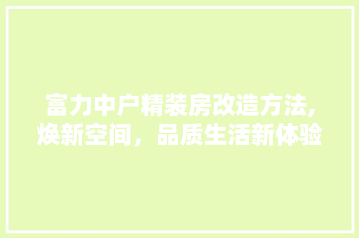 富力中户精装房改造方法,焕新空间，品质生活新体验