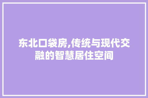 东北口袋房,传统与现代交融的智慧居住空间 墙面装饰