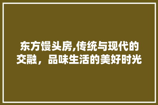 东方馒头房,传统与现代的交融，品味生活的美好时光 庭院装修