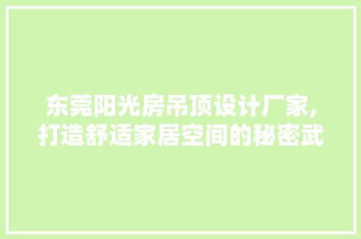 东莞阳光房吊顶设计厂家,打造舒适家居空间的秘密武器 地面装修