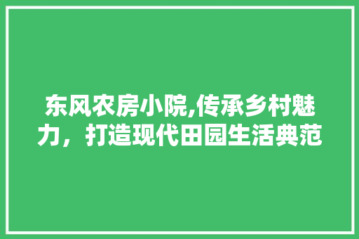 东风农房小院,传承乡村魅力，打造现代田园生活典范 地面装修